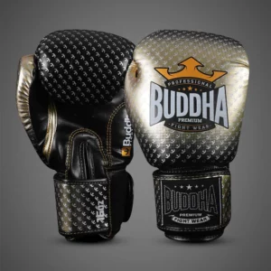 Club boxe thailandaise toulouse