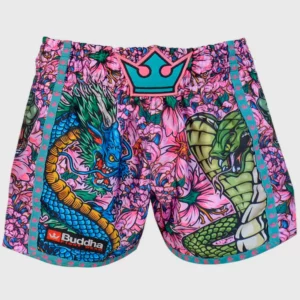 Club boxe thailandaise toulouse