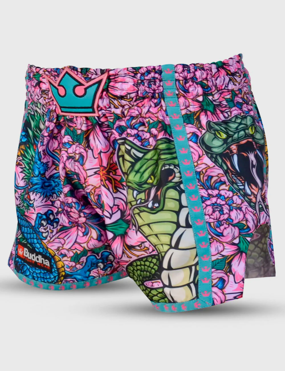 Club boxe thailandaise toulouse