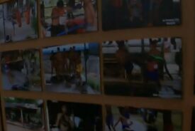 club boxe thailandaise muaythai toulouse